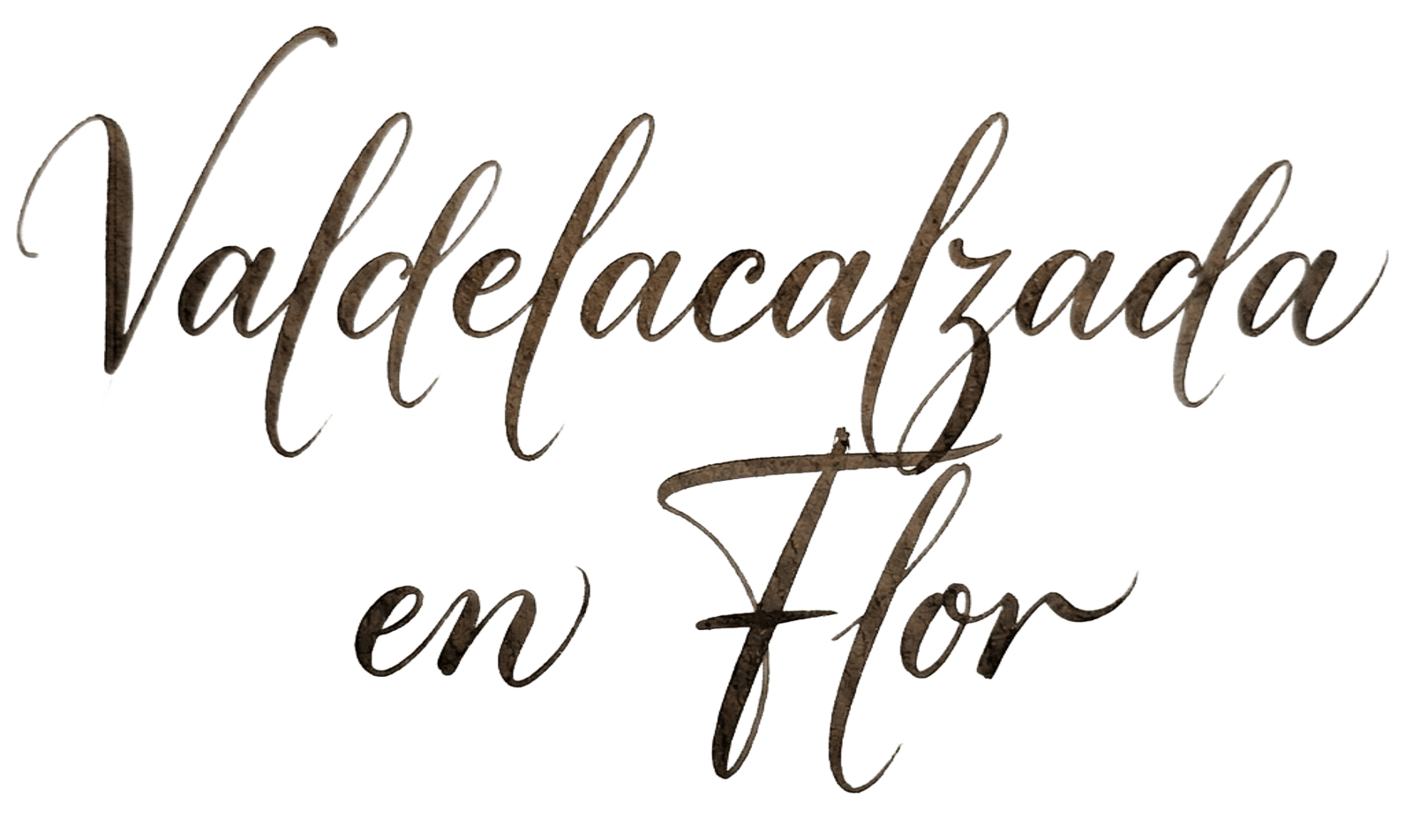Valdelacalzada En Flor